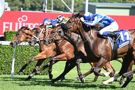 2021 surround stakes|2024 Surround Stakes .